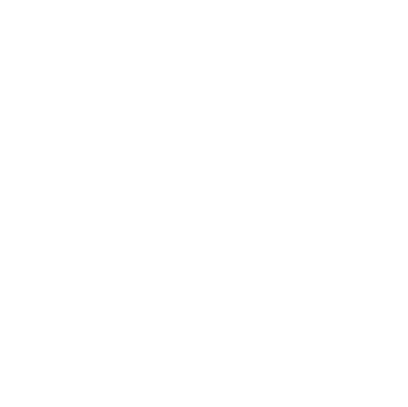 Black Venture Institute